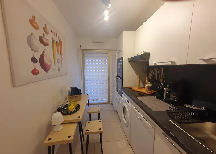 Apartment 2 Pieces Carre D Or Les Floralies