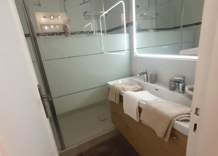 Apartment 2 Pieces Carre D Or Les Floralies